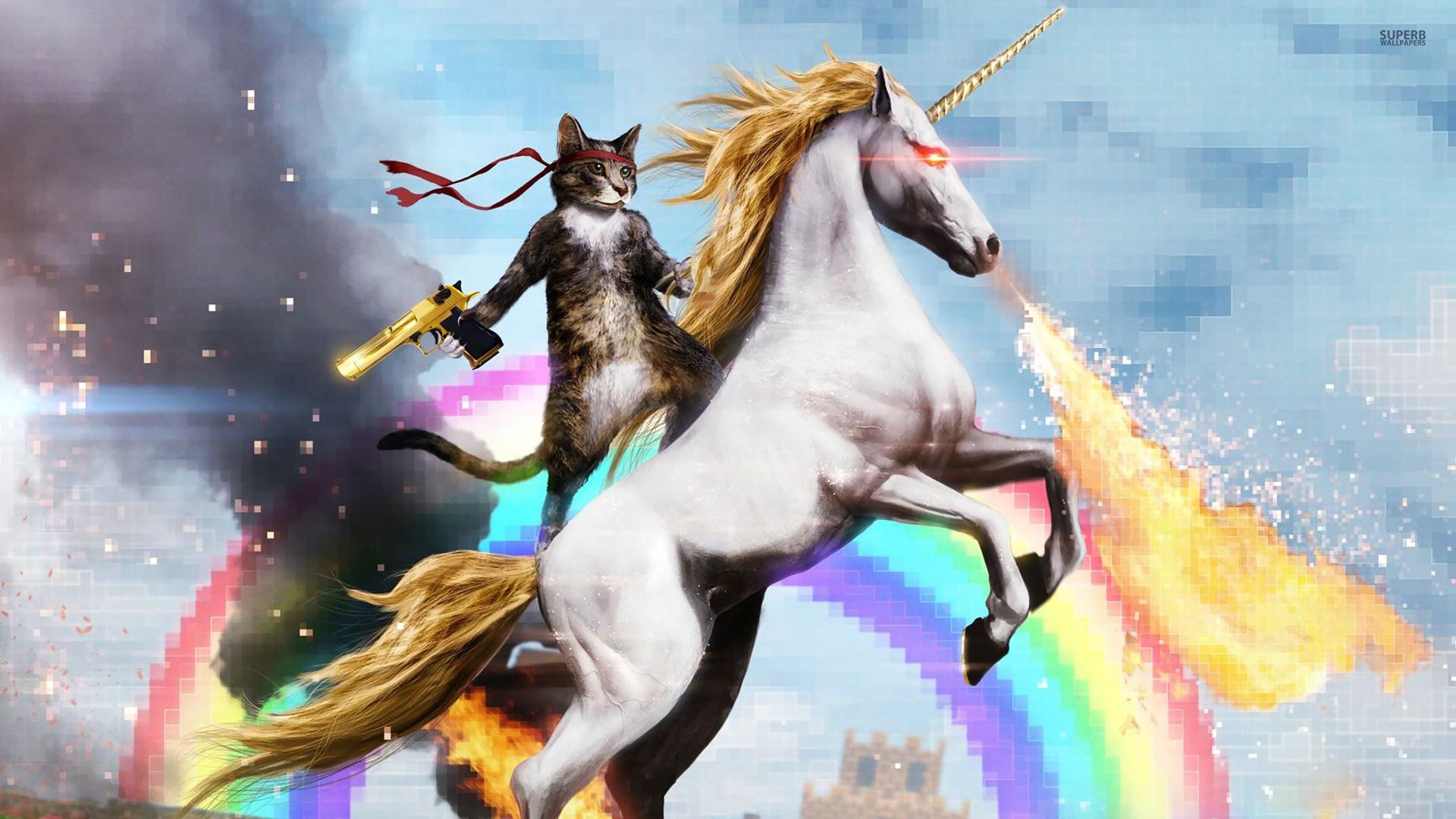 Cat Riding A Fire Breathing Unicorn Google Search Wallpaper