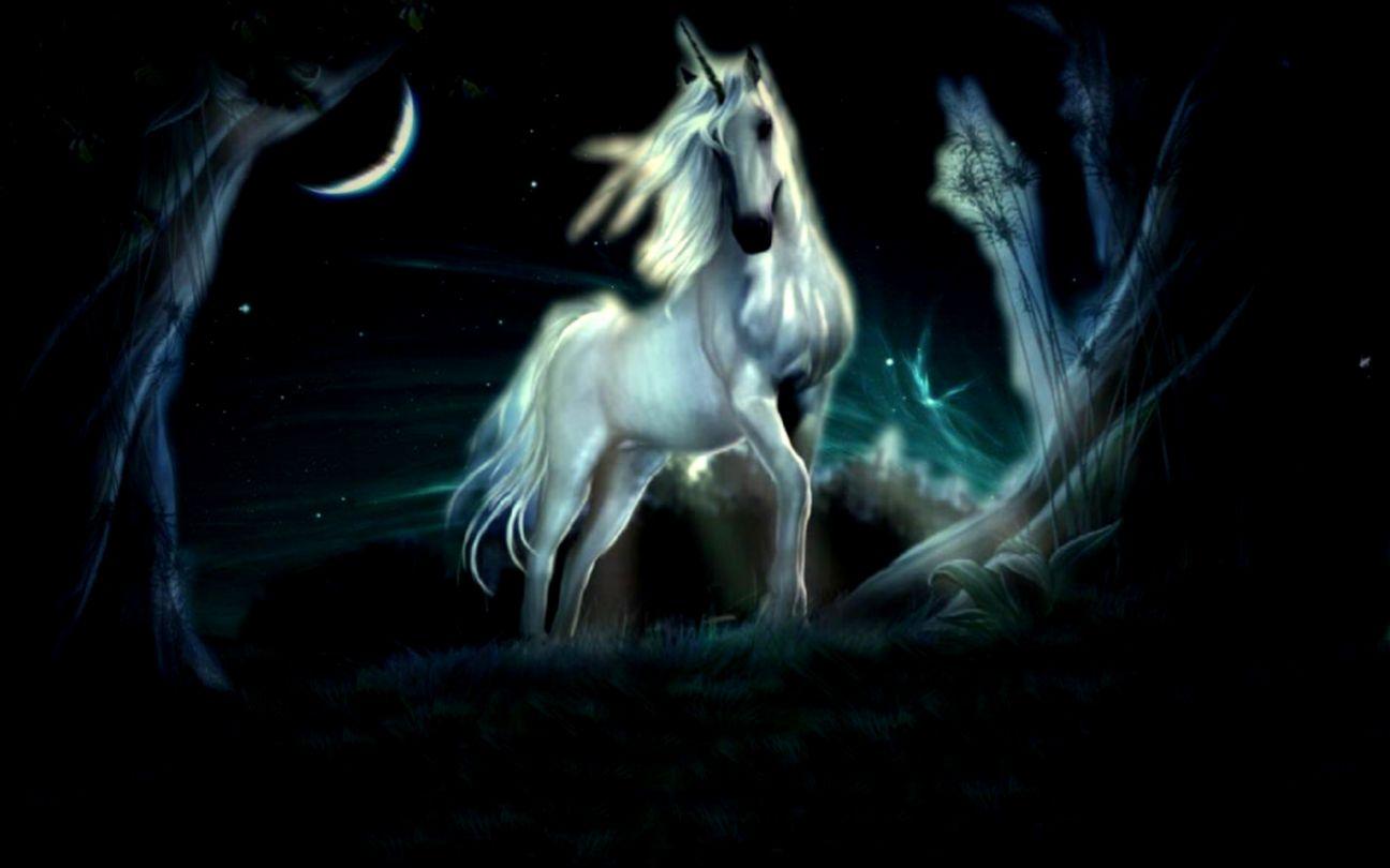 Fantasy Unicorn Wallpaper HD