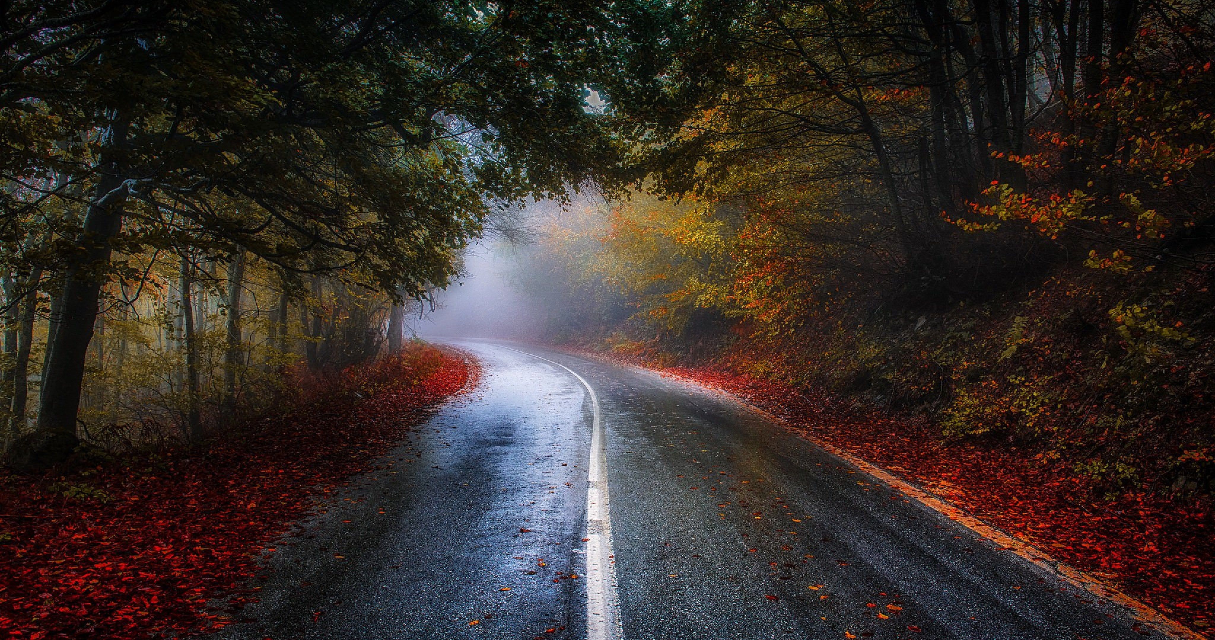 colorful road in fall 4k ultra HD wallpaper. Landscape, Nature photography, Photography wallpaper
