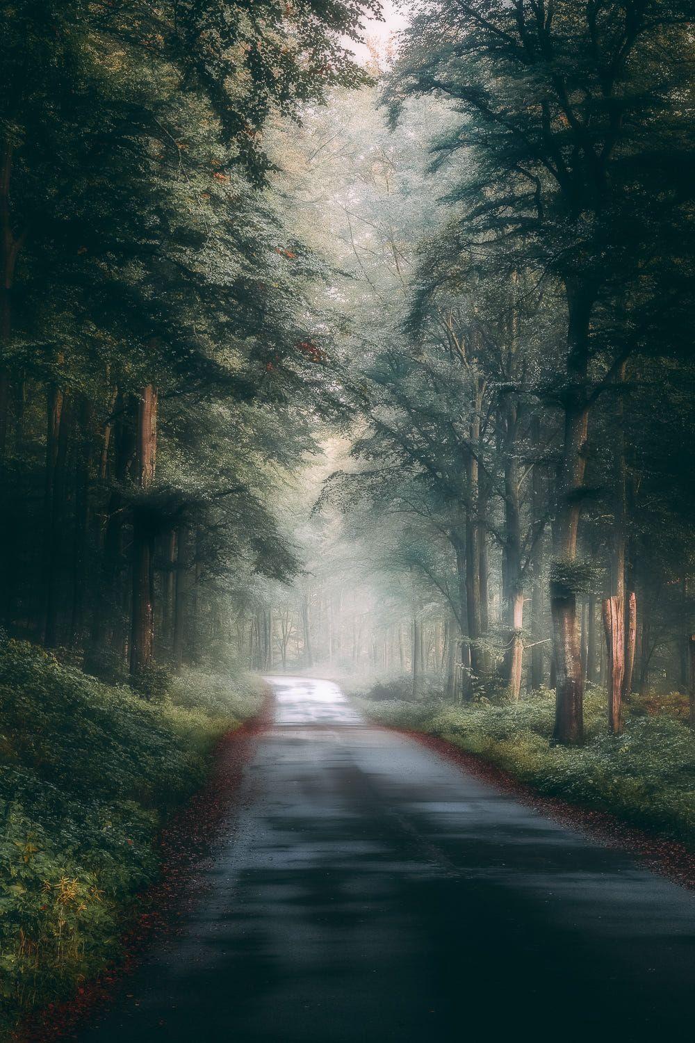 Awesome Camera Clicks. Nature photography