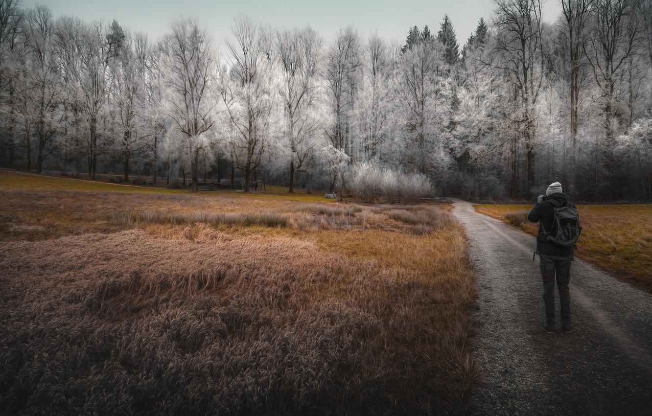 Wallpaper winter, road, nature, people image for desktop, section