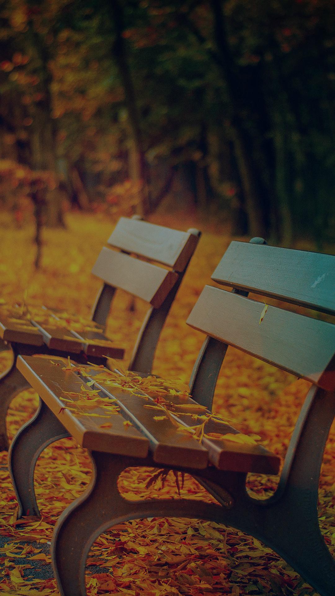 Fall Road Mountain Autumn Leave Nature Dark iPhone 8 Wallpaper