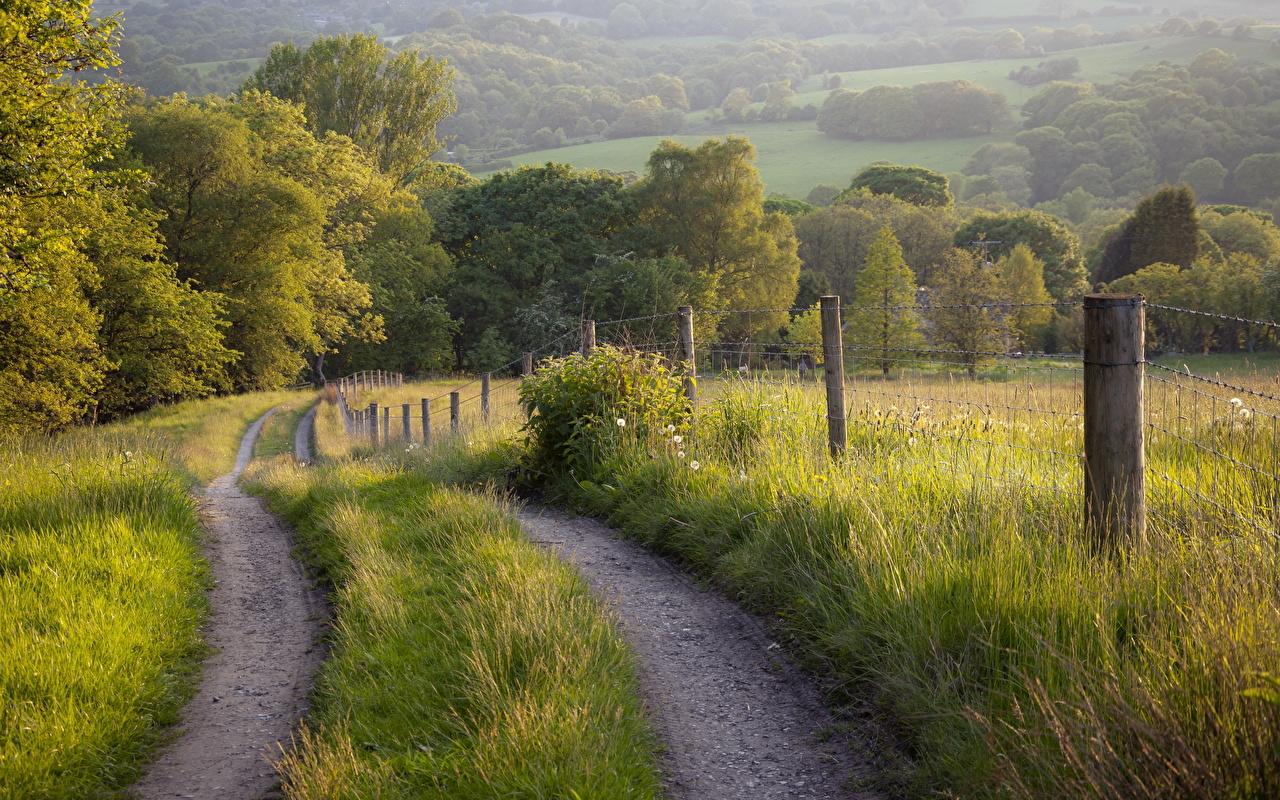 Desktop Wallpaper Nature Roads Fence Fields Grass