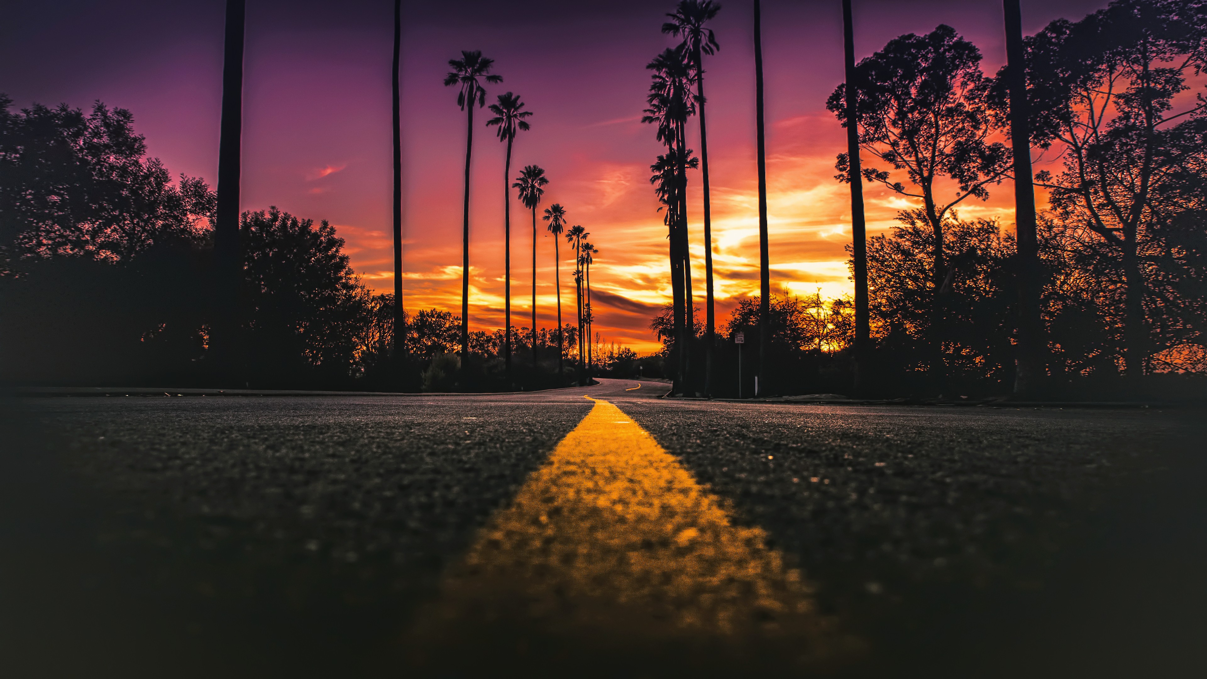 Stock Image Los Angeles, California, road, palms, sunset, 4K