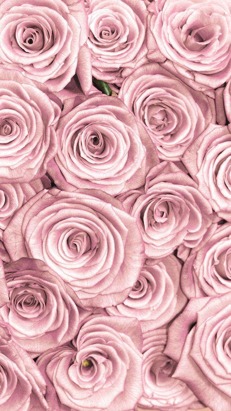 TAP AND GET FREE APP ⬆️ Stylish pink roses close up pattern