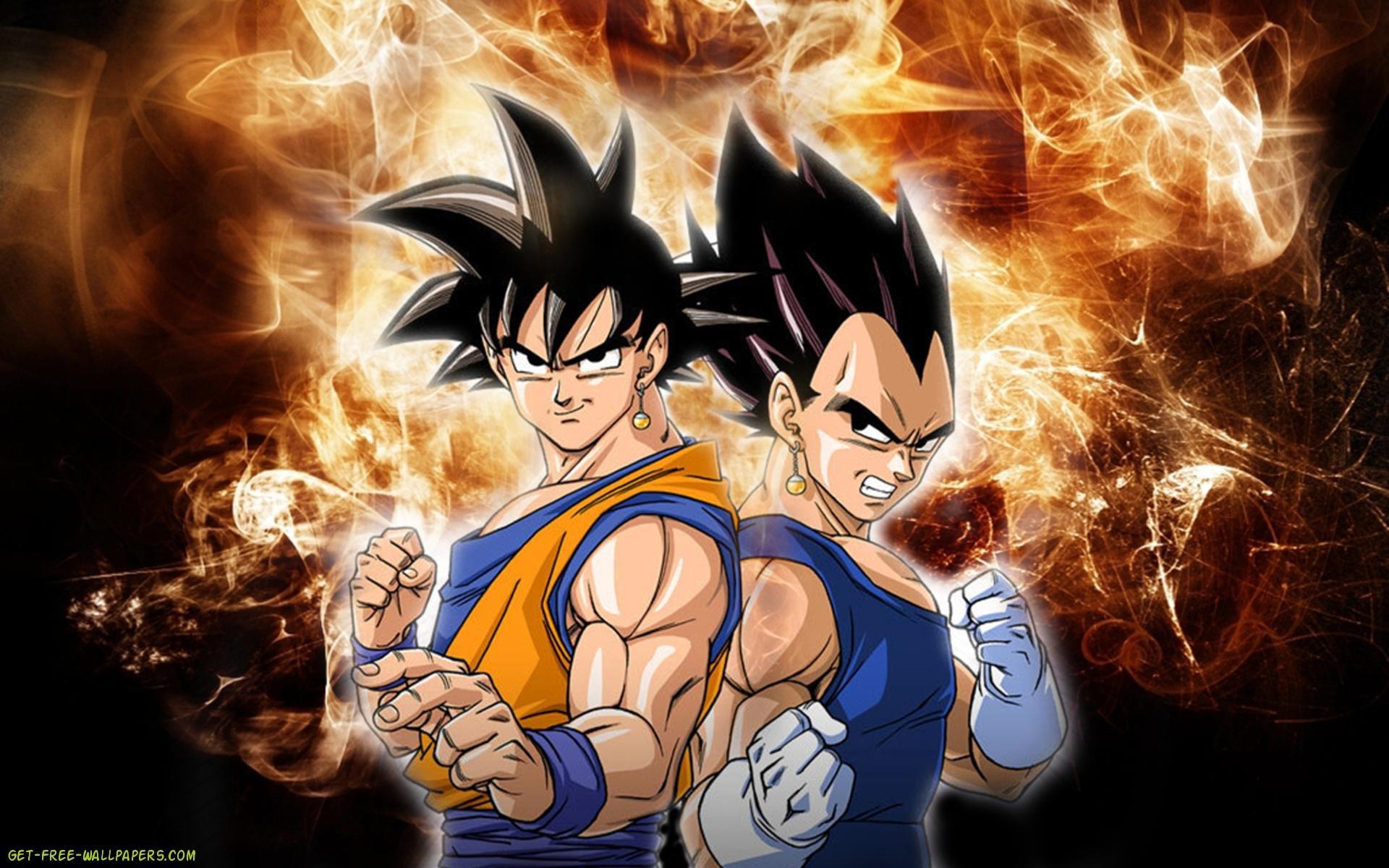 Goku And Vegeta HD wallpaper