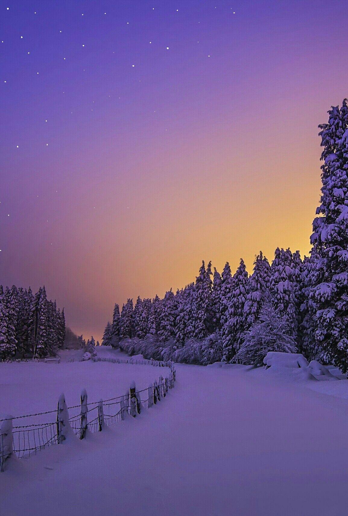 Winter dawn. Winter scenery, Winter landscape, Winter scenes