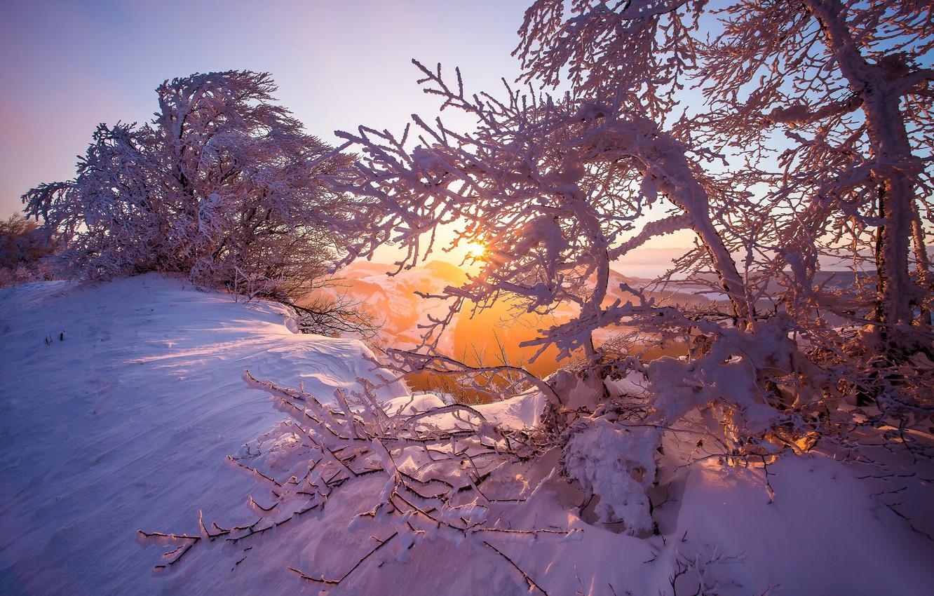 Wallpaper winter, snow, trees, sunrise, dawn, morning, Switzerland