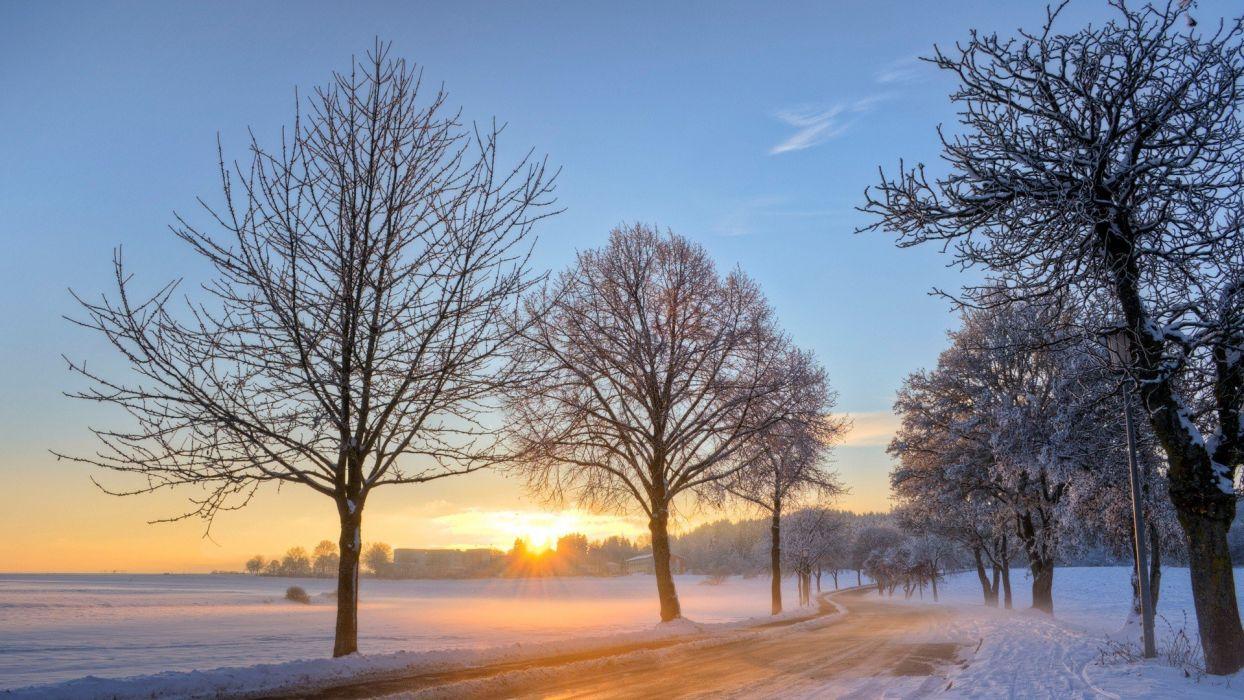 Sunrise landscapes nature winter snow trees dawn Germany wallpaper