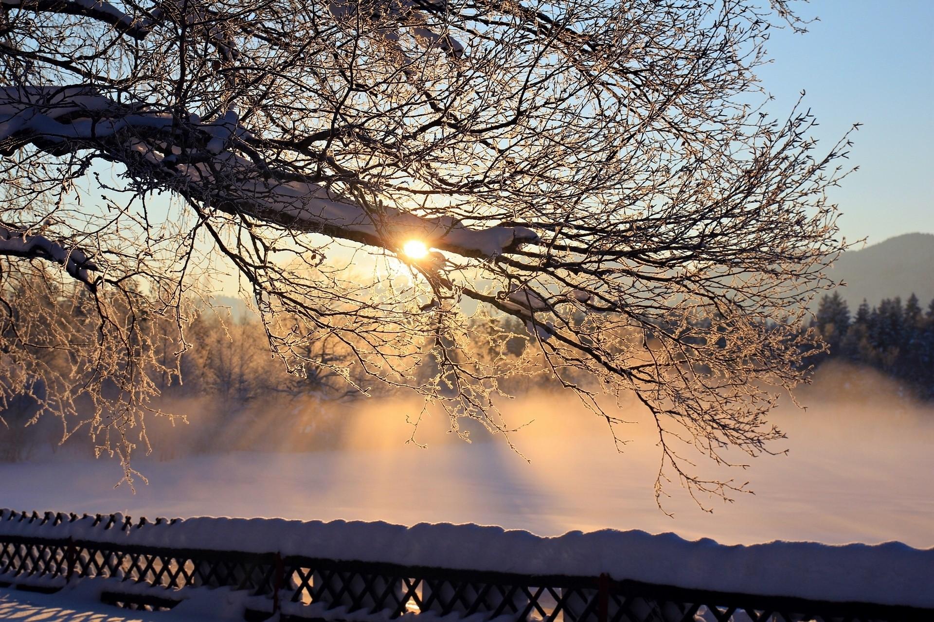 Sun, Frost, Trees, Widescreen, Morning, Fog, HD Sunrise Wallpaper