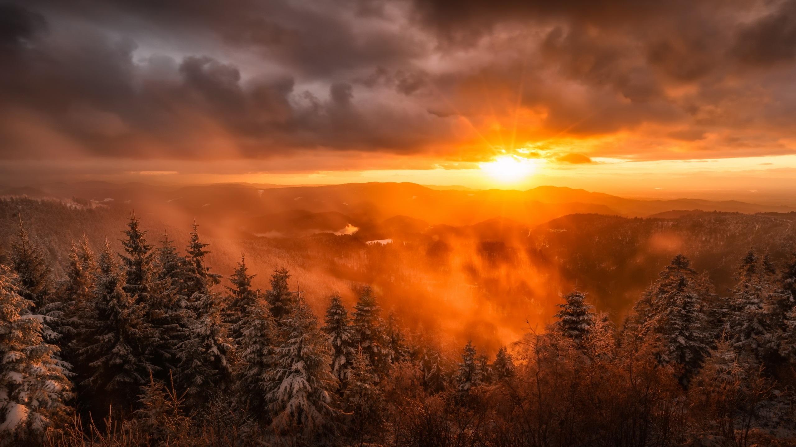 Wallpaper Sunrise, trees, fog, clouds, snow, winter, dawn
