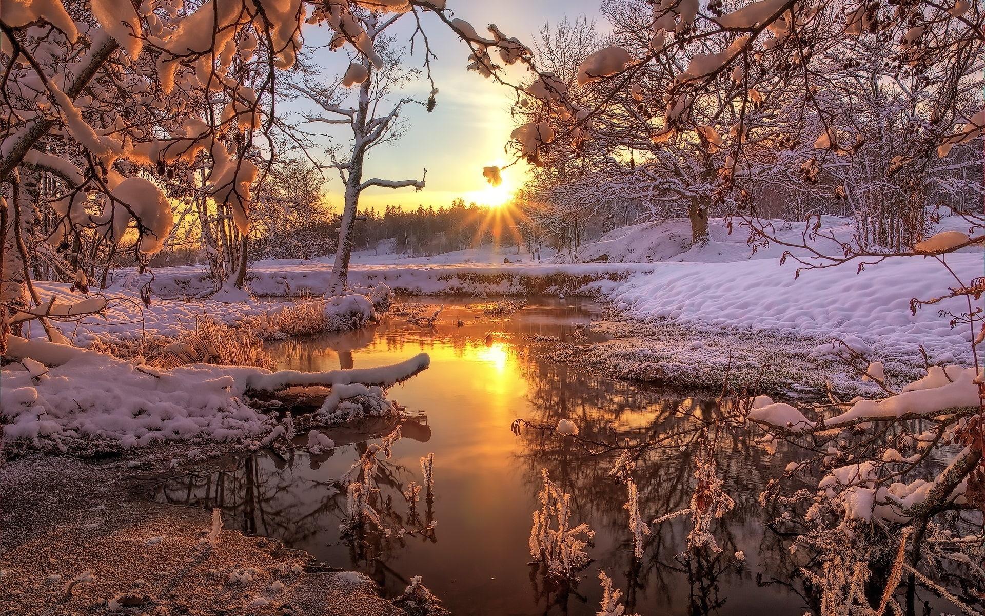 Winter, snow, forest, trees, river, dawn, sunrise, Winter, Snow