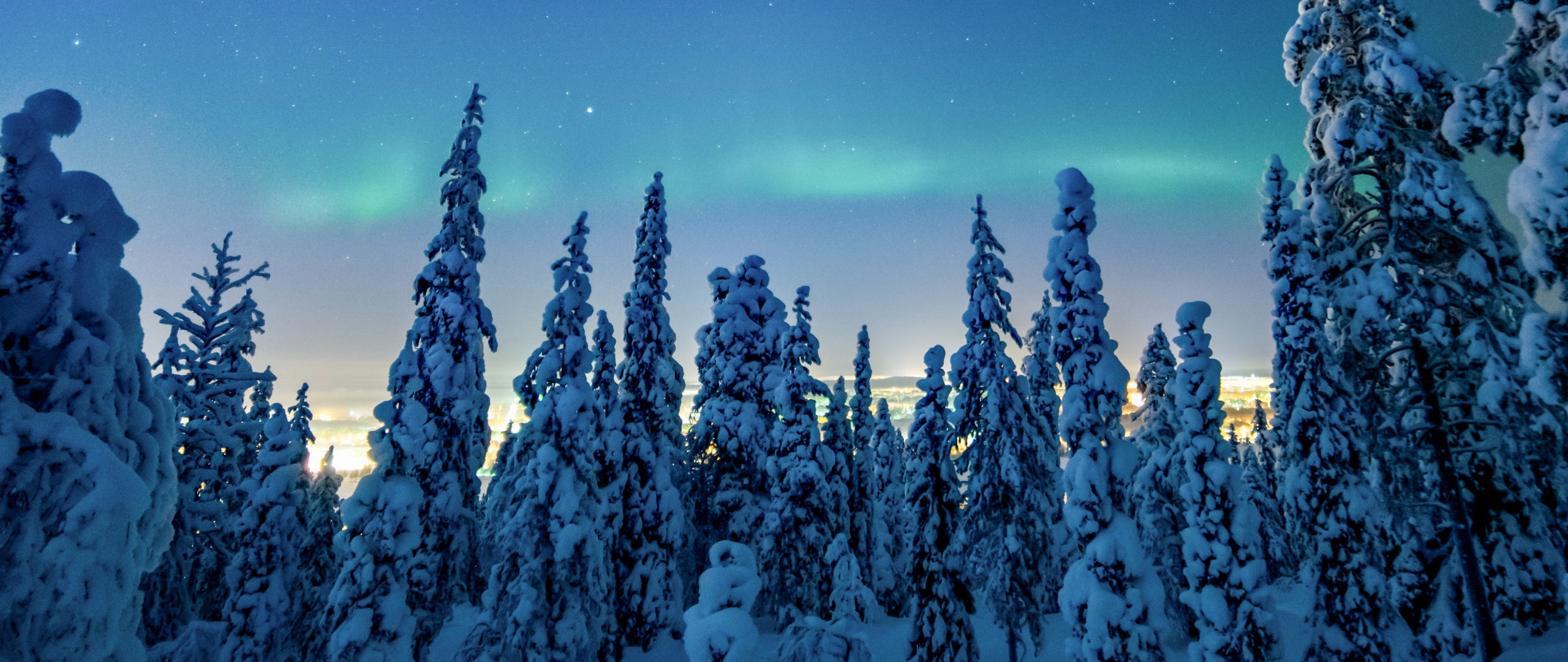 Download Winter, snow layer, dawn, trees wallpaper, 2560x1080