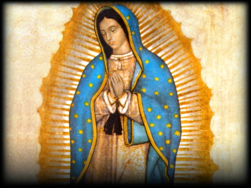 Our Lady Of Guadalupe HD Wallpaper & Background