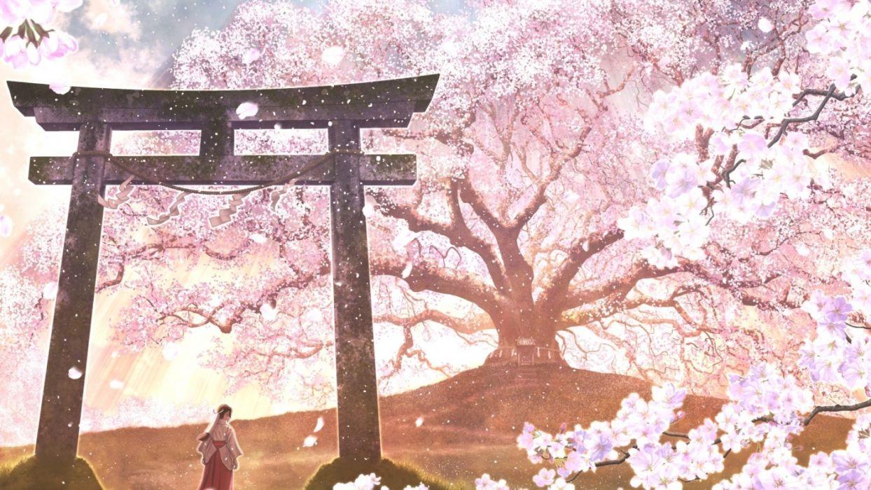 Sakura Blossom Anime Landscape Japanese Clothes wallpaper