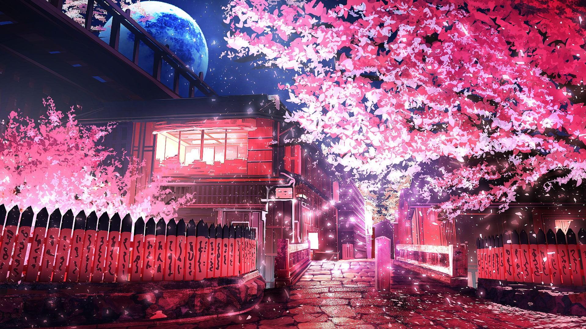 Pink leafed tree, anime, sakura (tree), road HD wallpaper