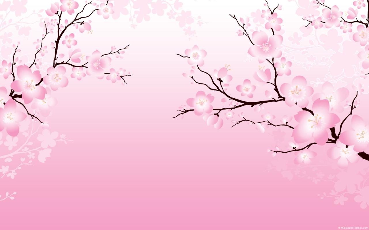 Free download cherry blossom flower [1280x800] for your Desktop