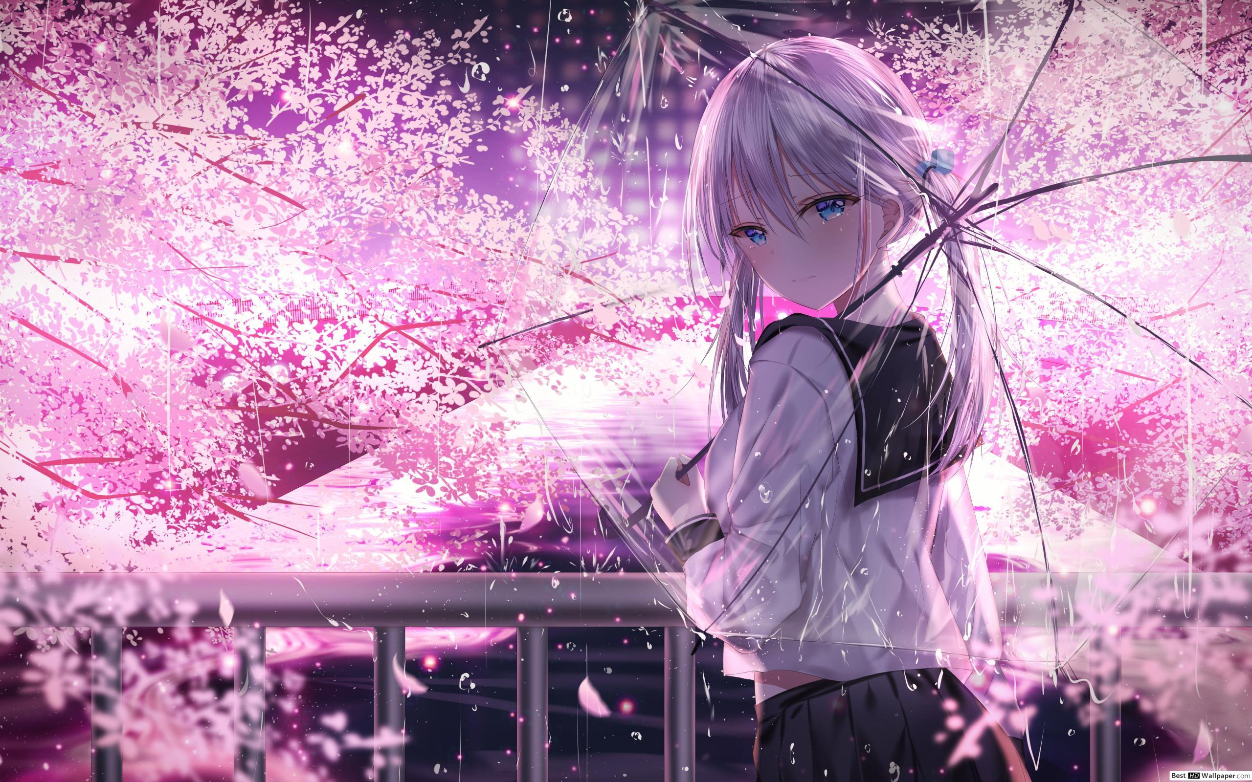 Sakura Blossoms Anime Wallpapers - Wallpaper Cave