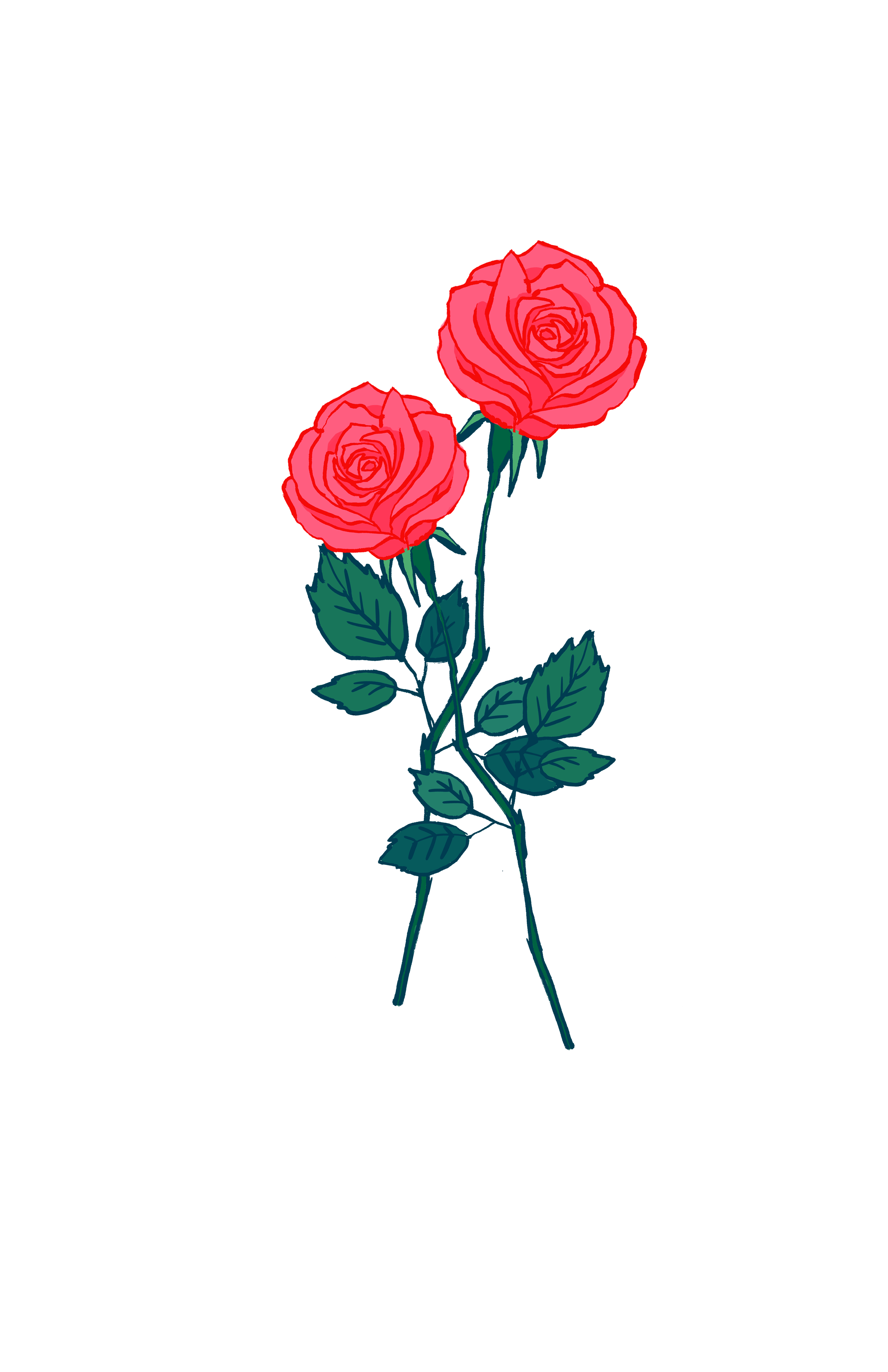 Pink #Roses. #Casetify #iPhone #Art #Design #Illustration #Rose
