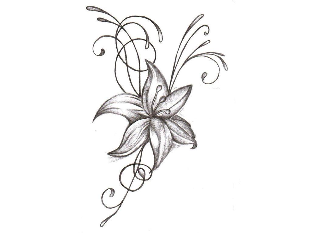 Free Picture Of Flower Drawings, Download Free Clip Art, Free