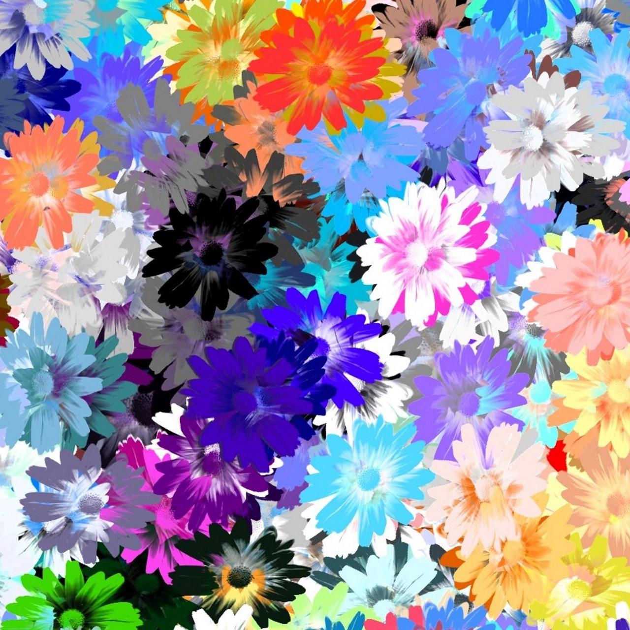 Download wallpaper 1280x1280 flowers, colorful, drawing, oil ipad