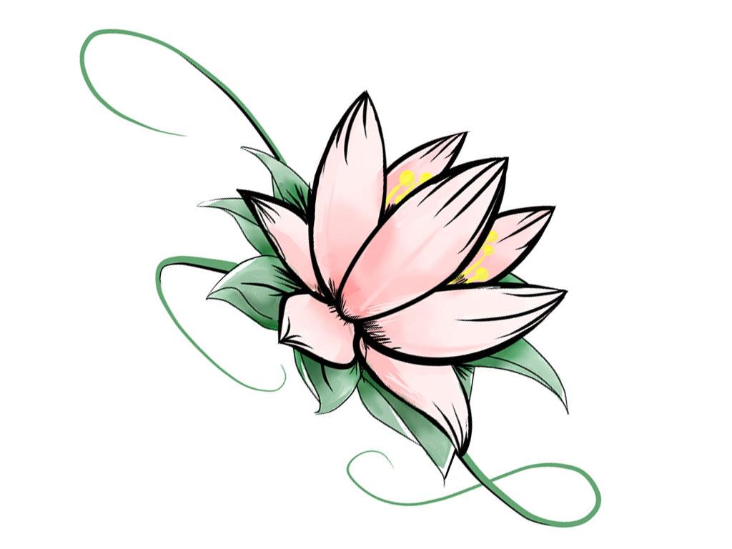 Lotus Flower Drawing Image