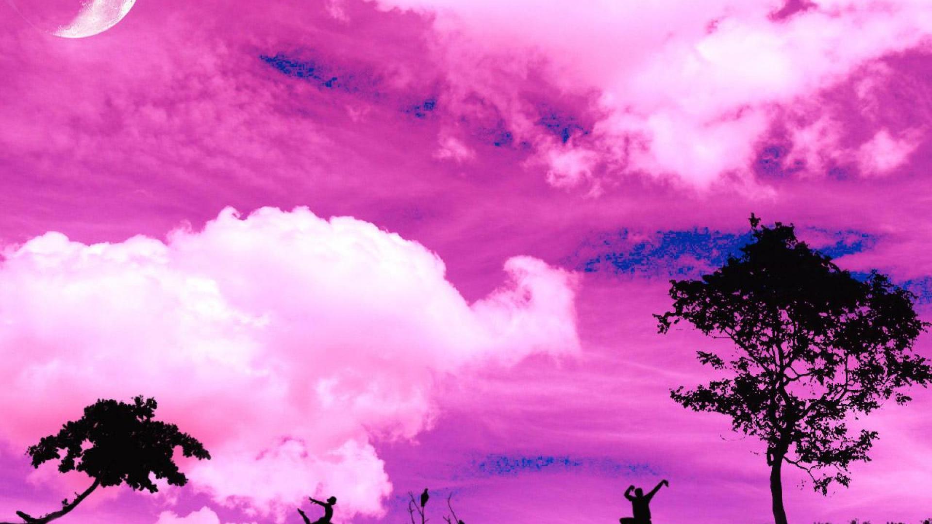 Pink Color Desktop Background, High Definition, High