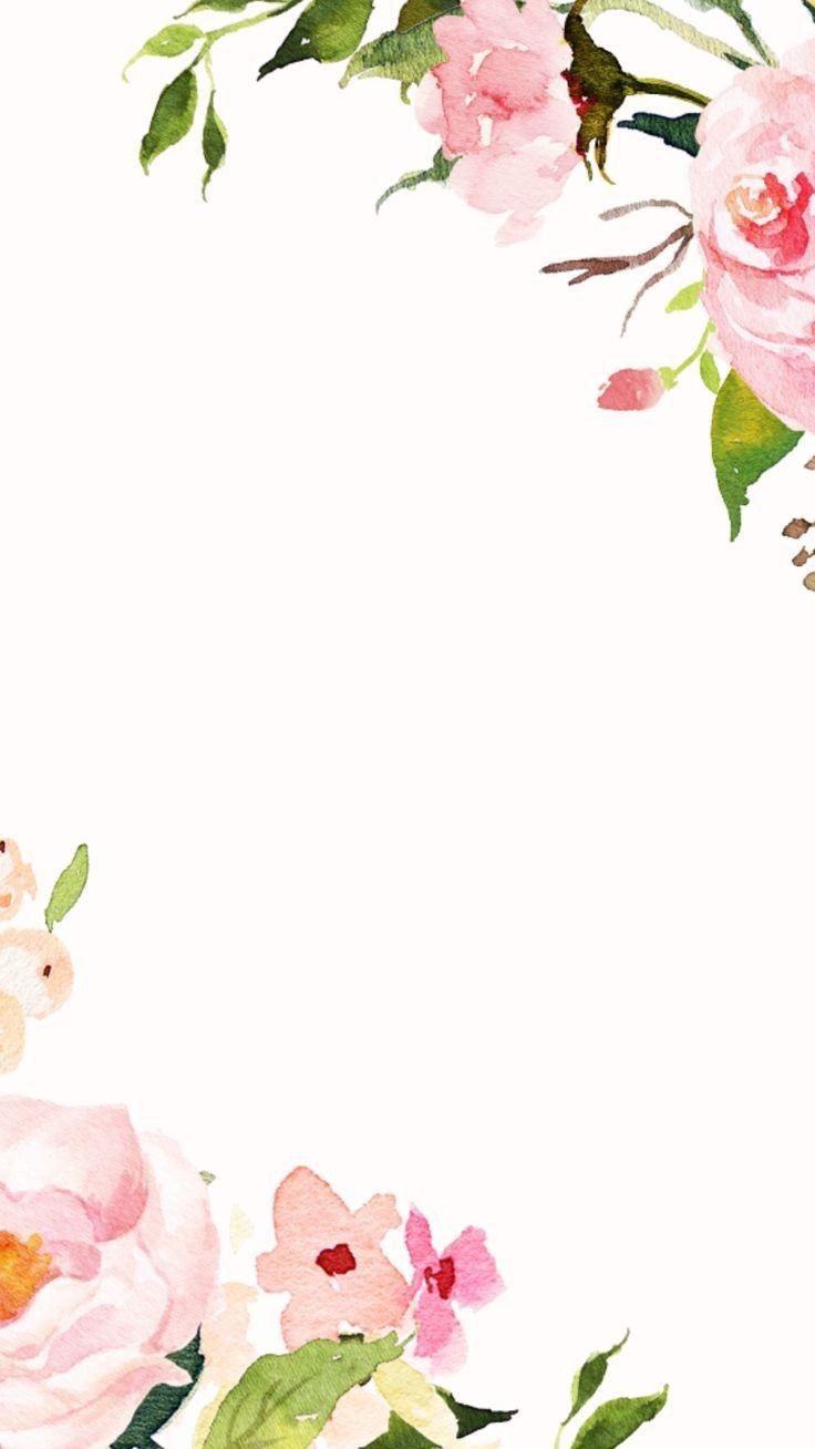 Simple Flower Background Tumblr Inspiration
