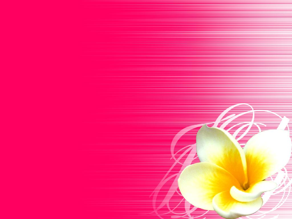 Simple Flower Wallpaper, Picture