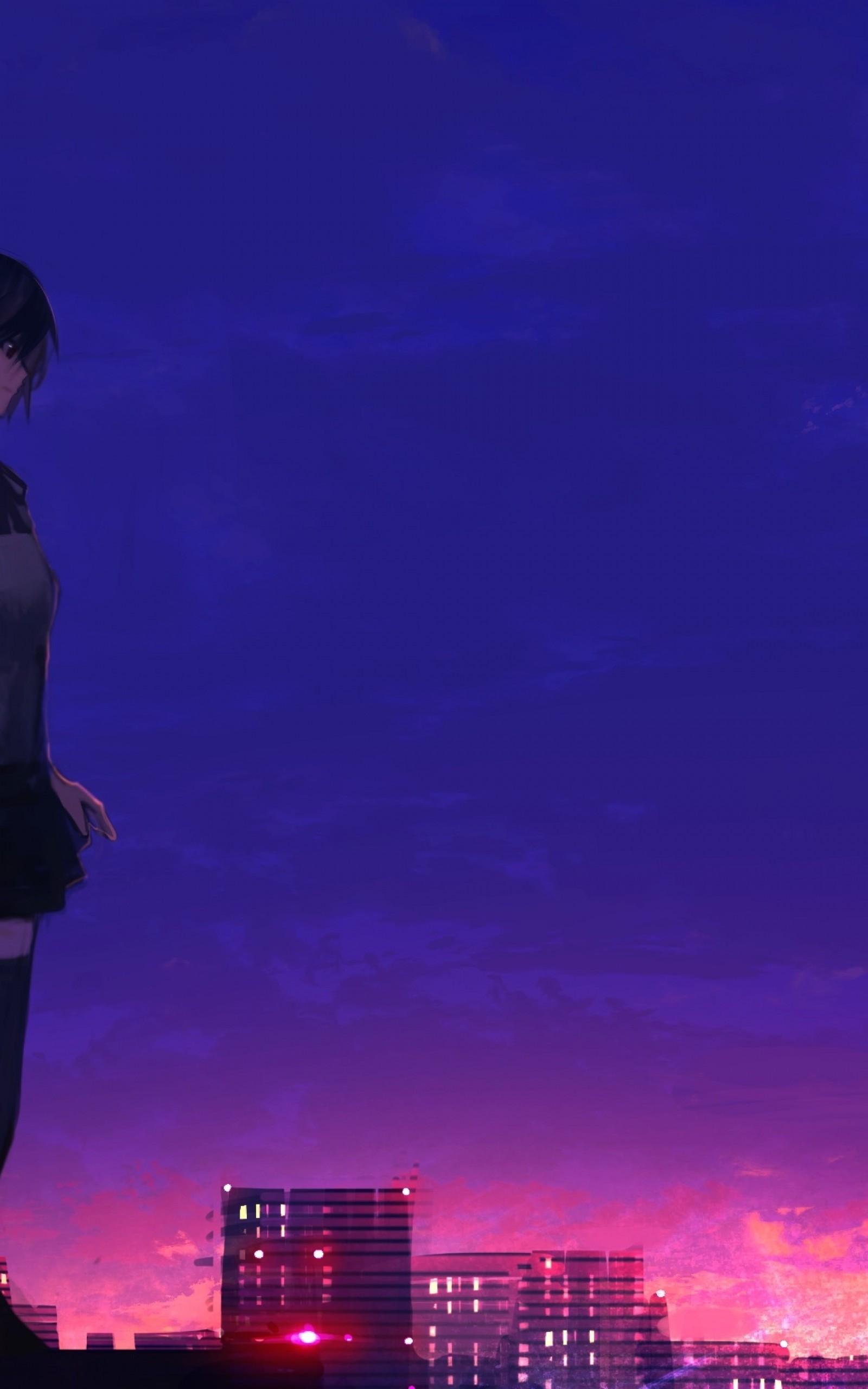 Download 1600x2560 Anime Girl, Rooftop, Buildings, Sunset, School