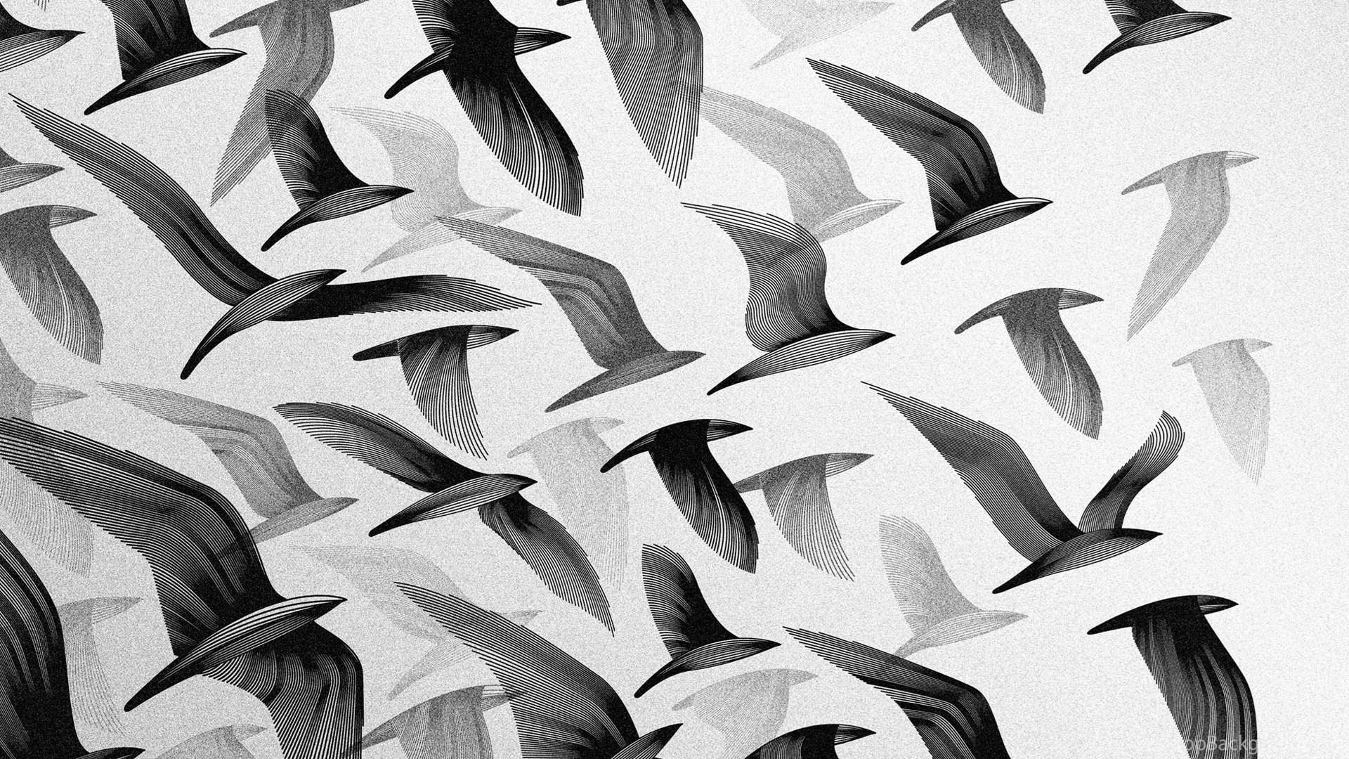 Black And White Wallpaper 1920x1080 Tumblr Wallpaper