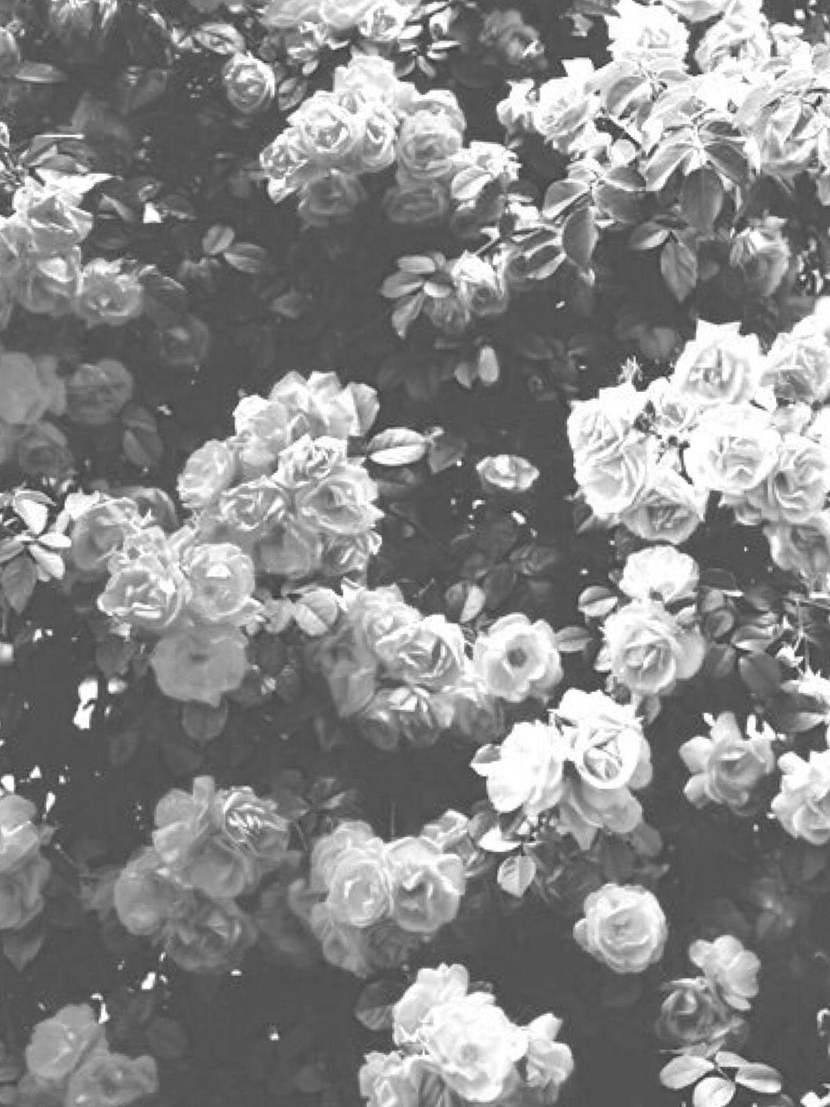 Black And White Aesthetic Background / Aesthetic Black And White HD