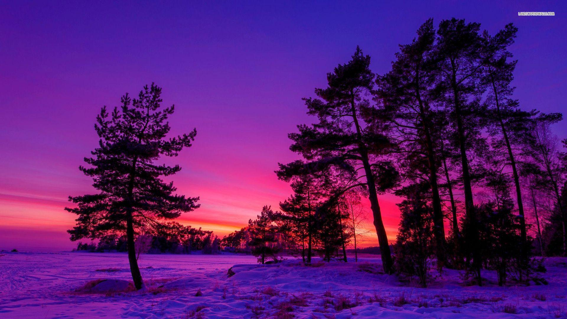 google search. Sunset wallpaper, Scenic photo, Winter sunset