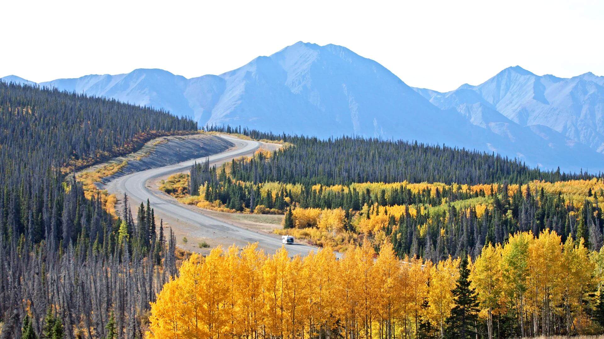 Alaska Highway: Nordamerikas ultimativer Roadtrip!