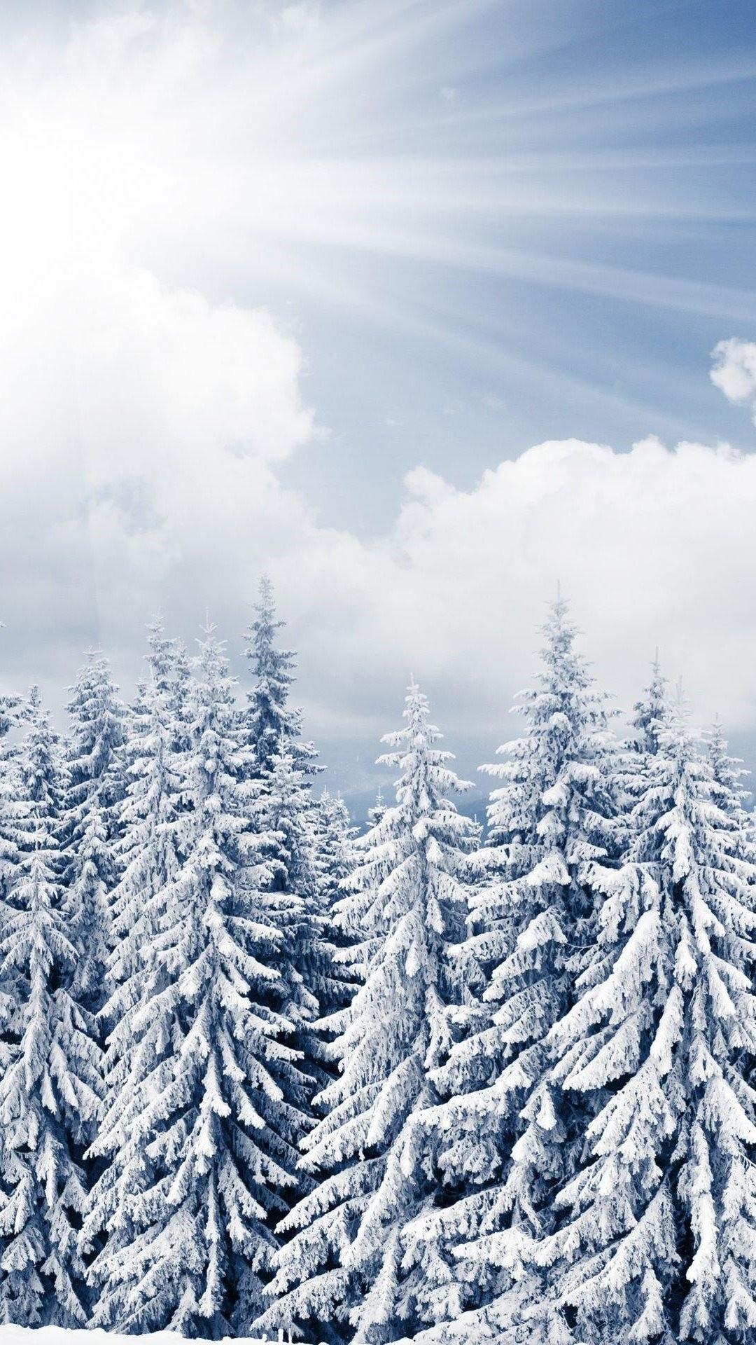 Cảm nhận không khí mùa đông tràn ngập trên màn hình iPhone 8 Plus với những hình nền đẹp và tuyệt vời. Chúng tôi đã sàng lọc ra những hình ảnh tuyệt đẹp về những cánh rừng phủ tuyết, những con sư tử chứng minh sức mạnh của mình, hay cả những đám mây đầy mơ mộng.