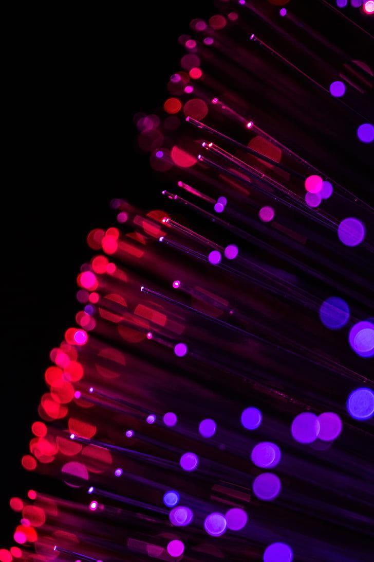 HD wallpaper: optical fiber, glare, thread, glitter, red, purple