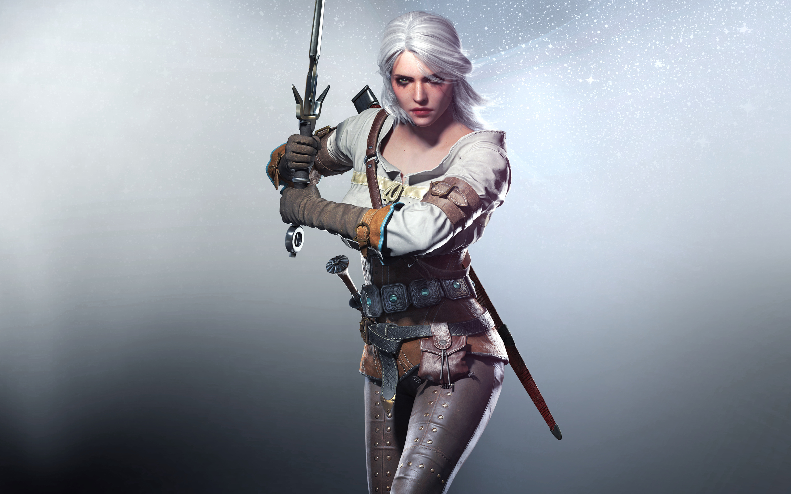The Witcher 3: Wild Hunt HD Wallpaper