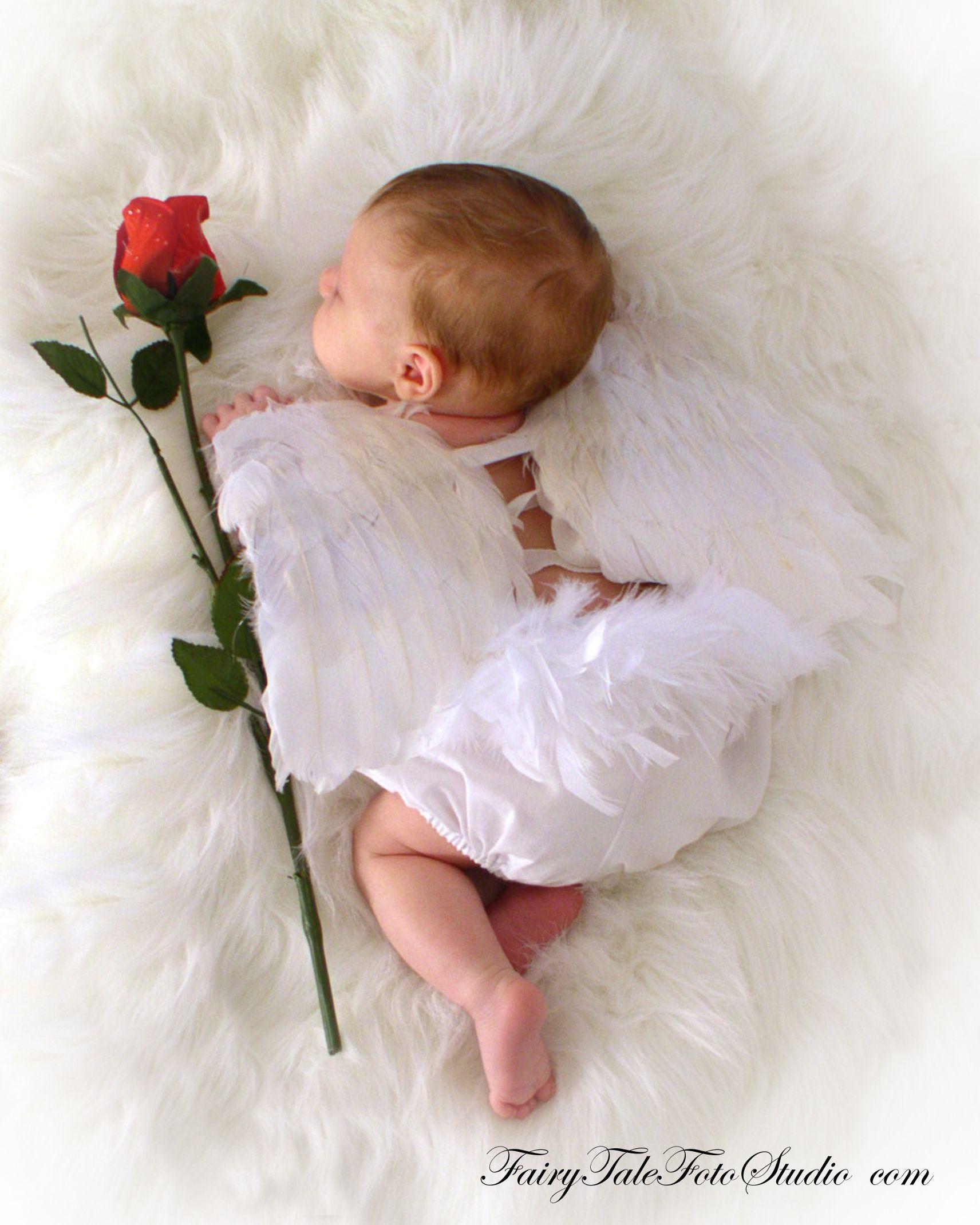 Newborn Baby Angel with Rose. Cupid. Valentine's Day Portrait