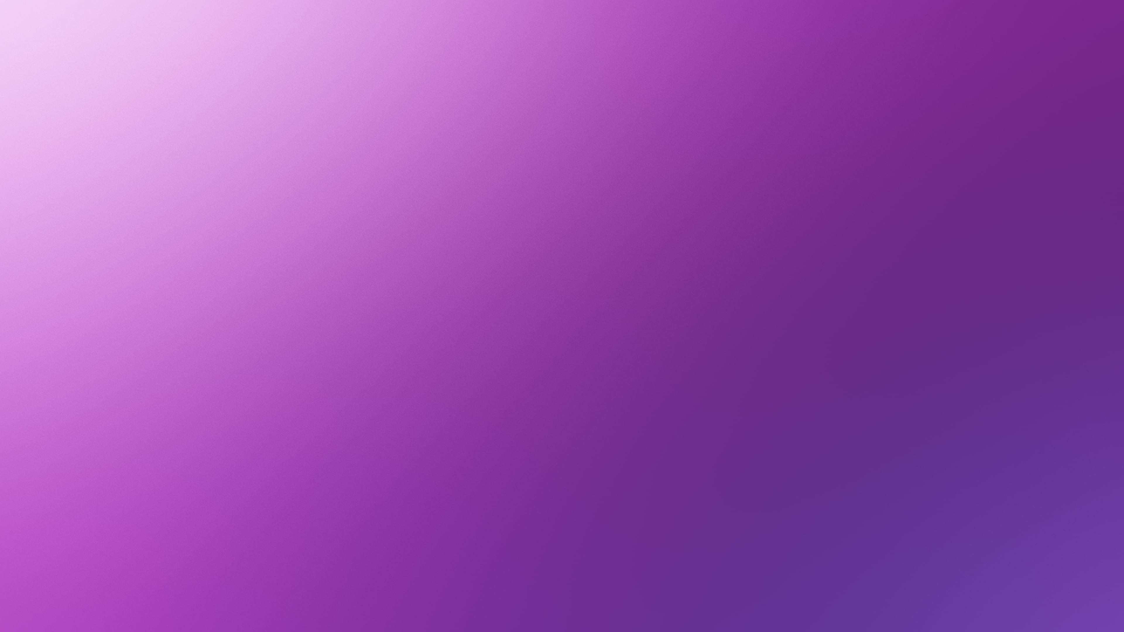 Gradient, Purple, 4K HD wallpaper