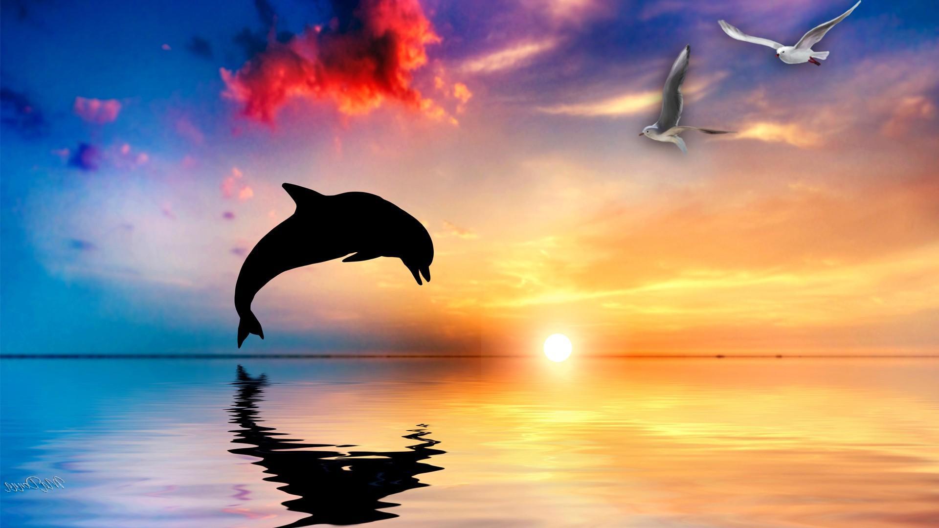 Download Dolphin Wallpaper, HD Background Download