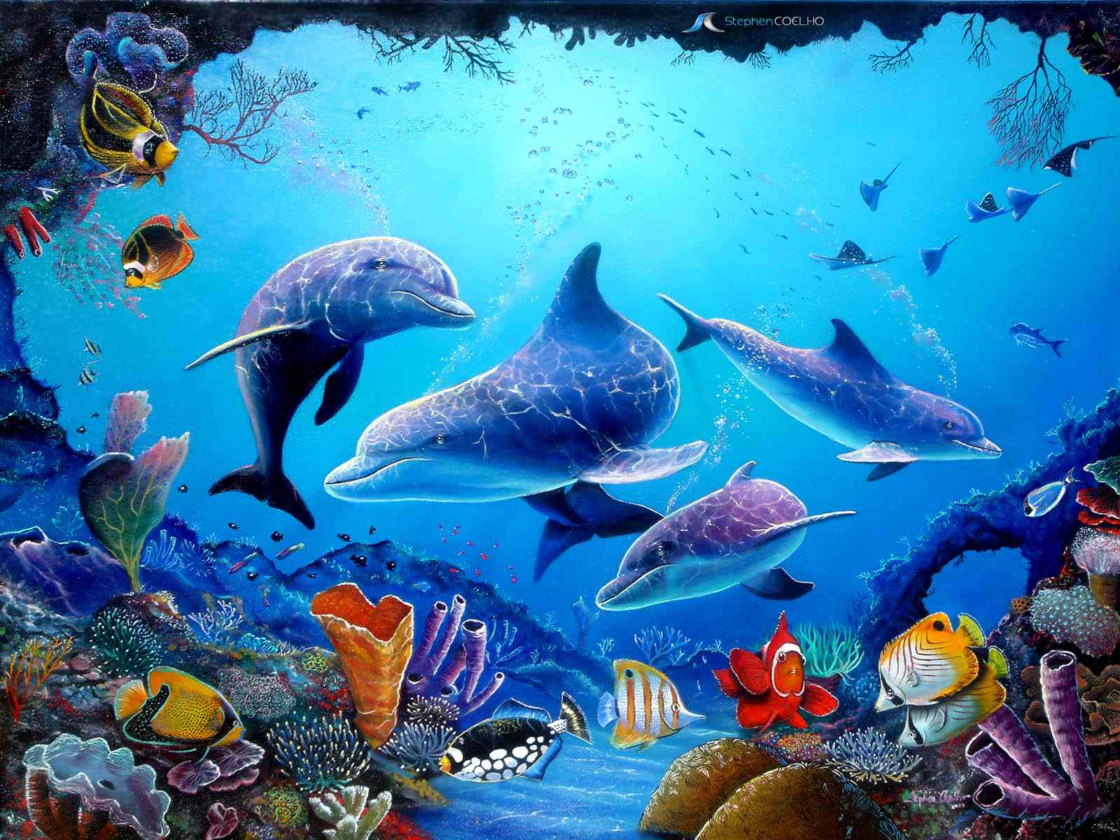 Dolphins Desktop Wallpaper HD Wallpaper, HD Pics