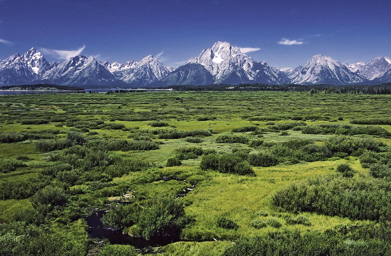 Willow Flats area and Teton Range in Grand Teton National