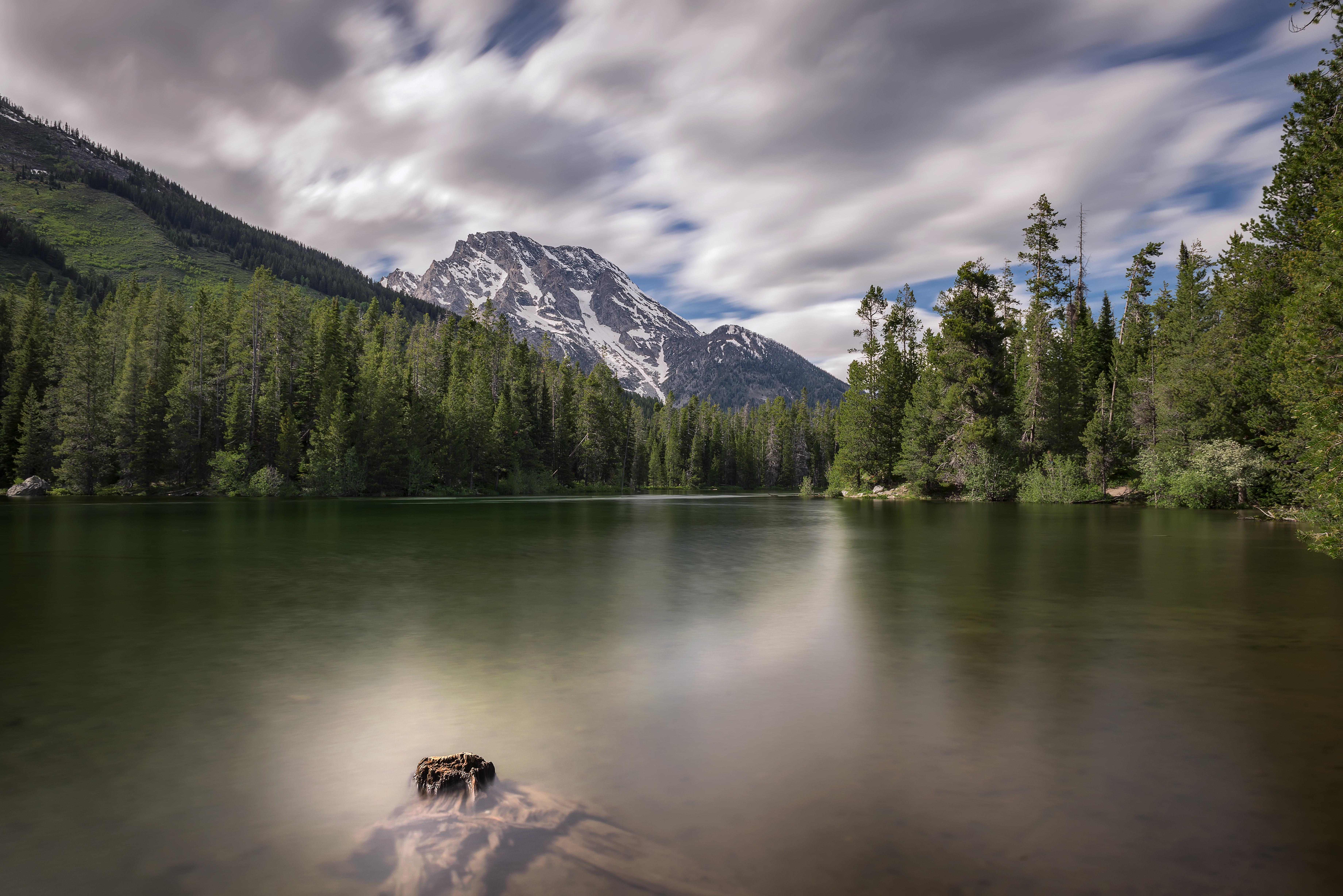 Landscape photo of body of water surrounded of trees, string lake
