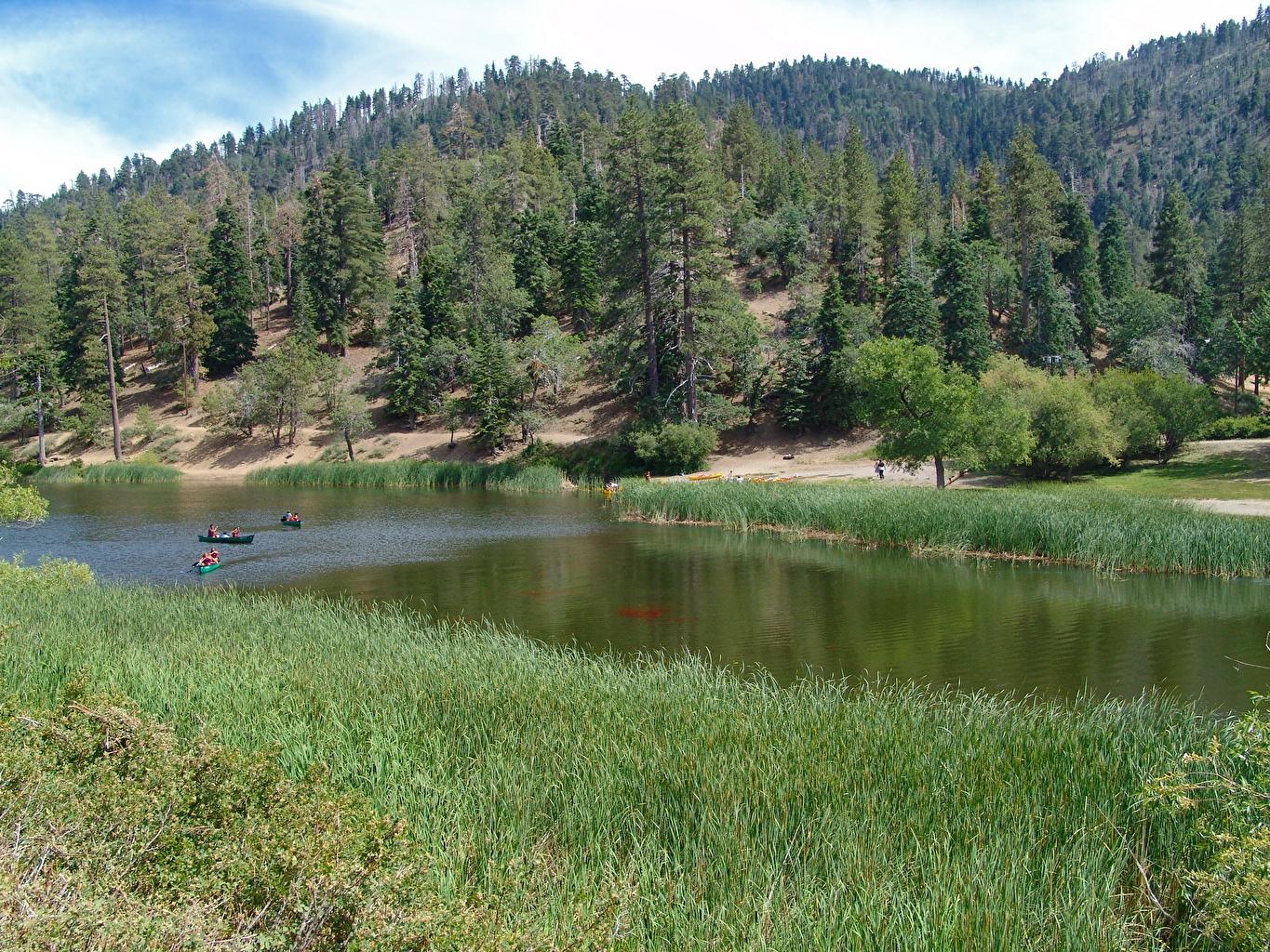 Picture Jackson Lake. Grand teton national park Nature
