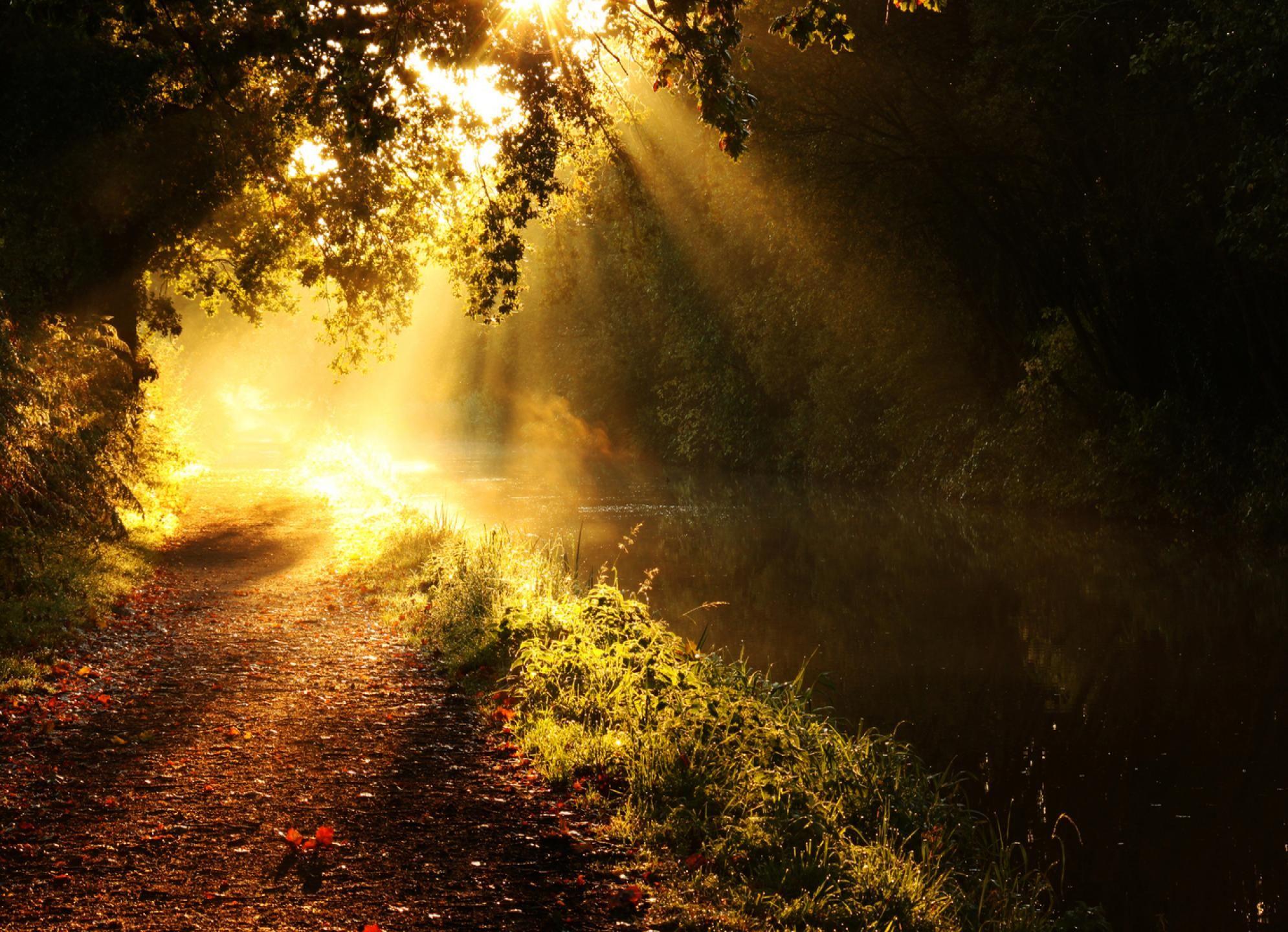 Sun Rays Morning Wallpapers Wallpaper Cave