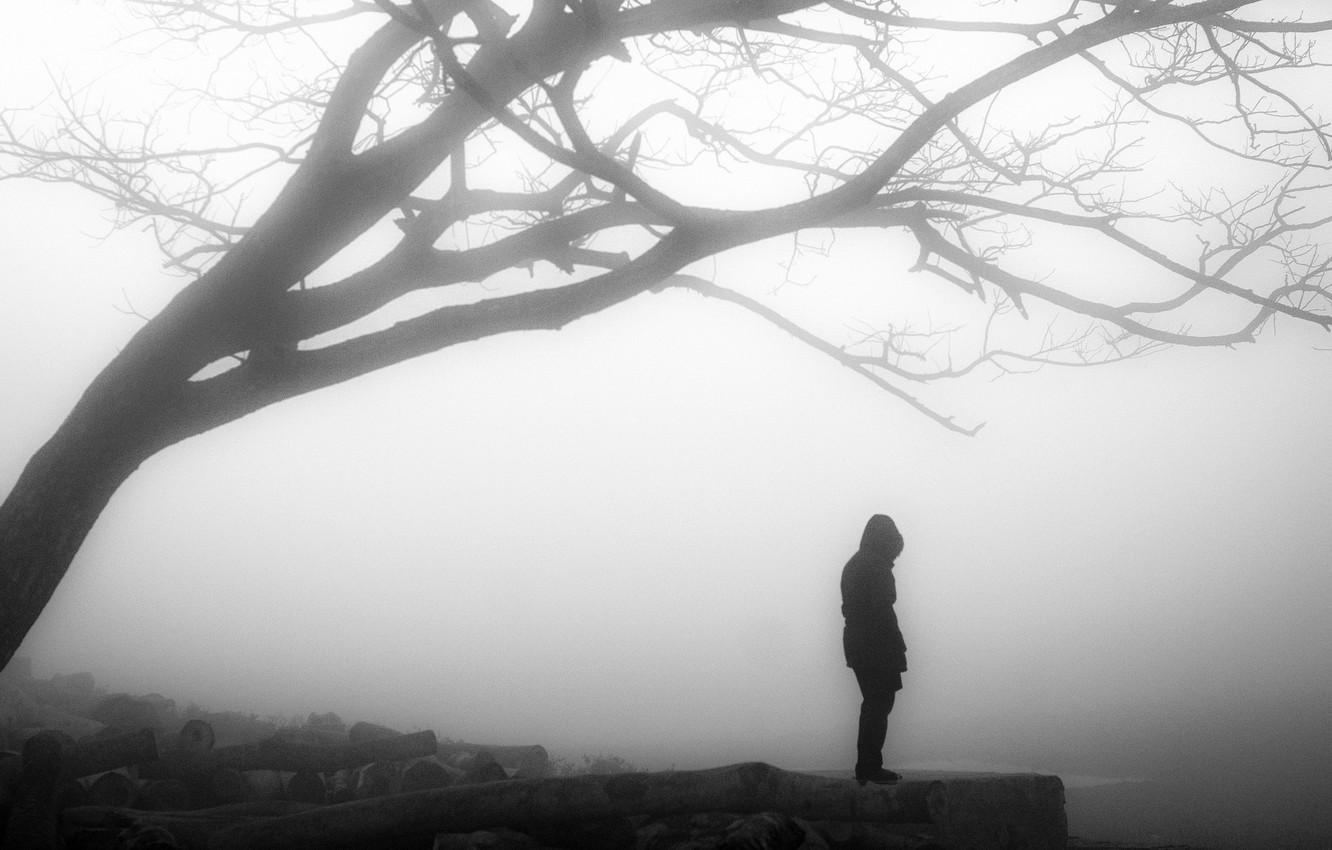 Wallpaper misty, tree, solitude, loneliness, branches, person, foggy, gloomy, desolation image for desktop, section настроения