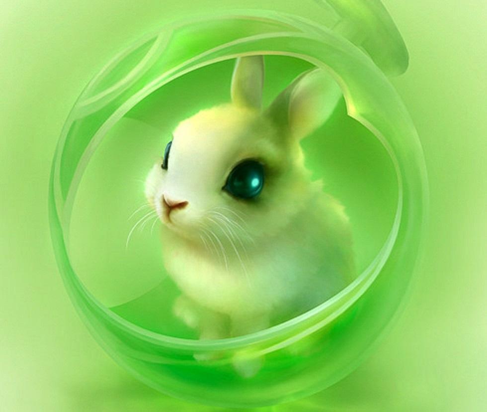 Free download Cute Rabbit wallpaper ForWallpapercom [980x828]