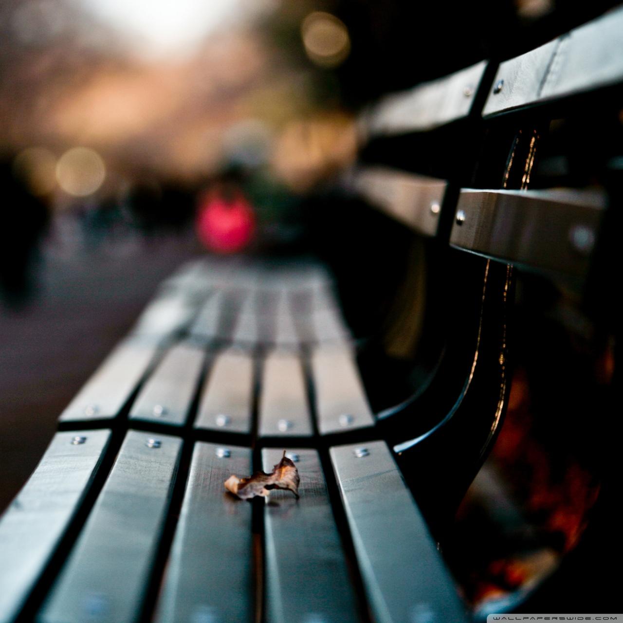 Free download Save My Love For Loneliness 4K HD Desktop Wallpaper