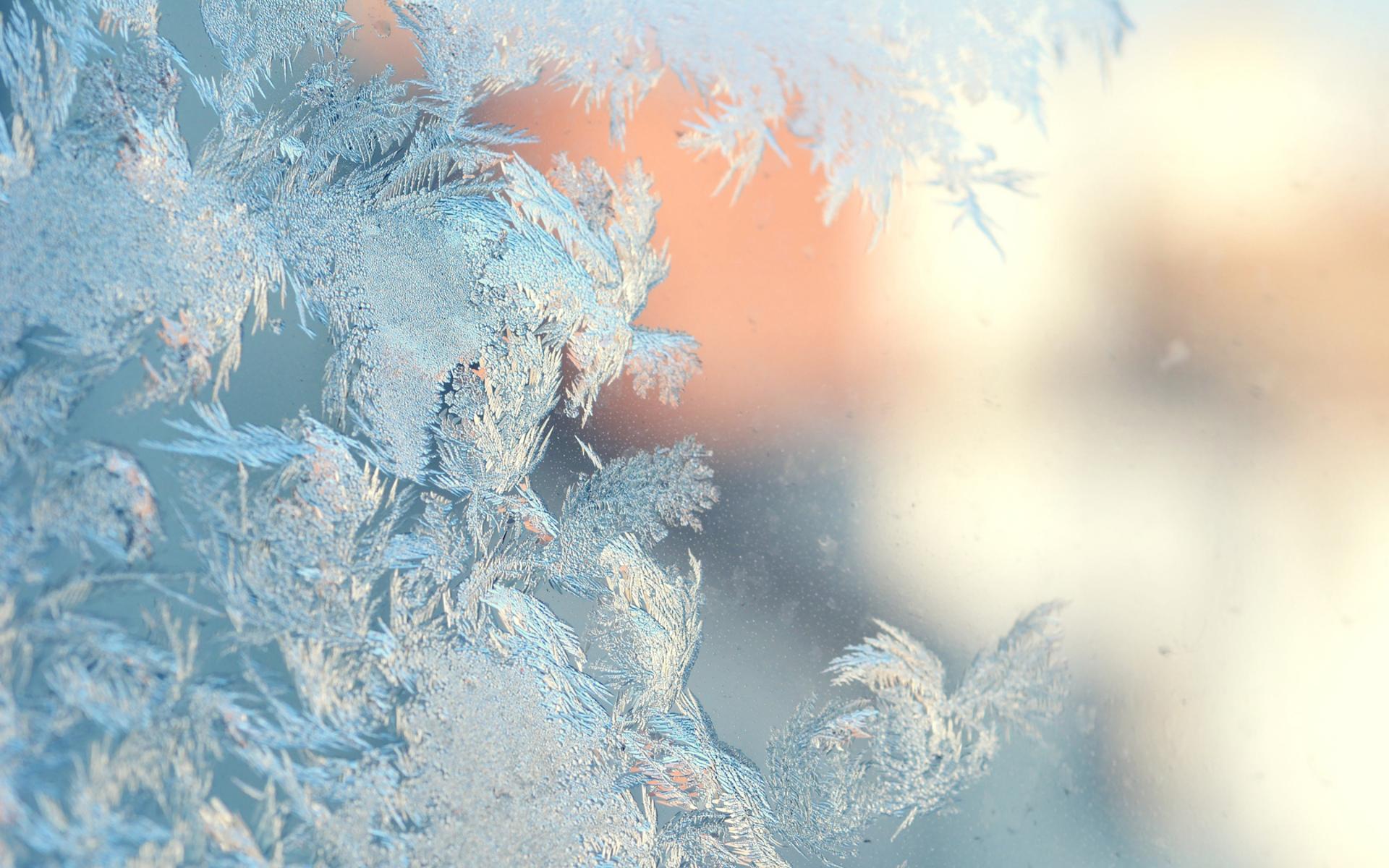 nature, Frost, Winter, Seasons, Window, Glass, Mood, Bokeh, Cold