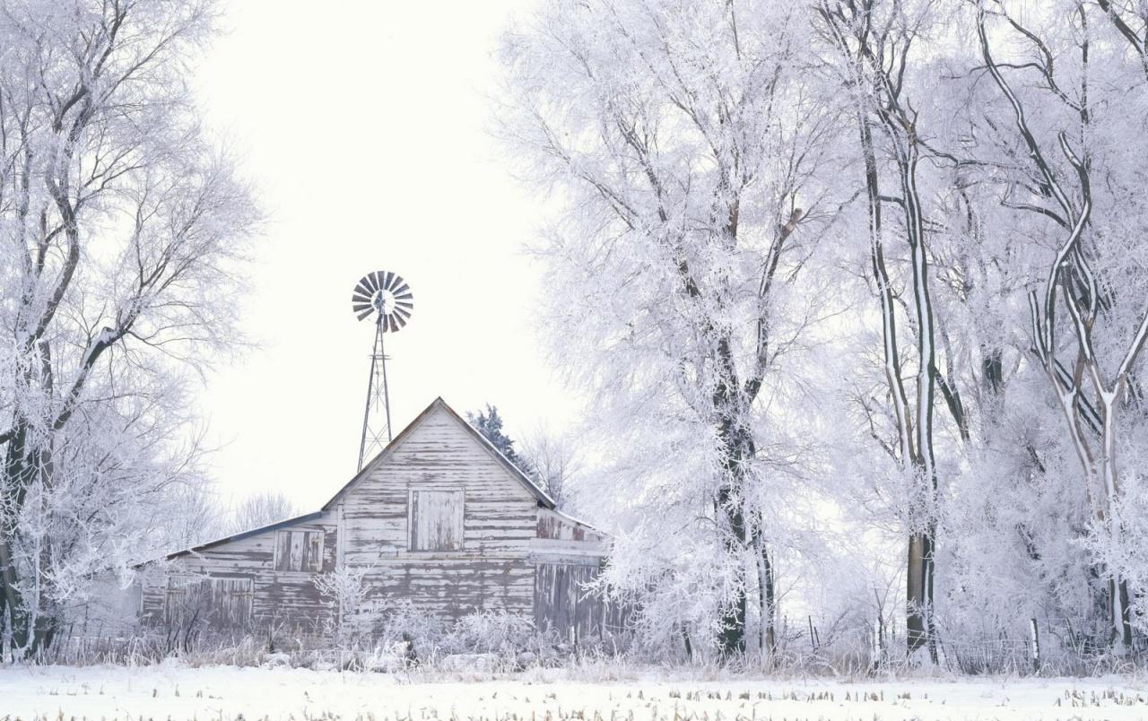 Frosted Farmland wallpaper. Frosted Farmland